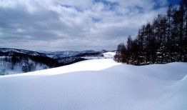 最新爆料六图雪地图片下载,冬日雪地美景，带你领略纯净自然之美”