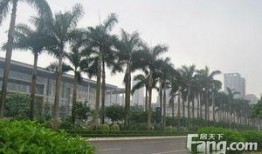 江门蓬江区爆料案件最新,案情揭秘，真相大白！