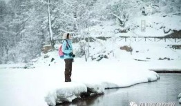 最新爆料六图雪地图片下载,冬日雪地美景，带你领略纯净自然之美”