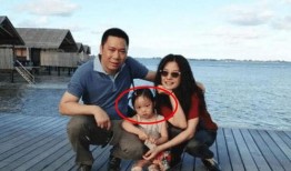浙江金华母女爆料案件最新,惊人真相揭开家庭悲剧面纱