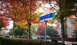 合肥长江路最新爆料,繁华路段焕新升级，未来交通规划引关注