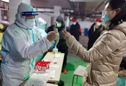 石家庄抗疫最新爆料,齐心协力，共筑防线
