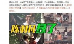 芒特父亲爆料视频大全最新,揭秘足球天才的成长历程与心路历程