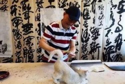 崔永元最新视频爆料,揭露娱乐圈惊人内幕