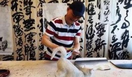 崔永元最新视频爆料,揭露娱乐圈惊人内幕