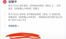 爆料乐山雷哥是谁啊最新消息,最新爆料揭示神秘人物真相
