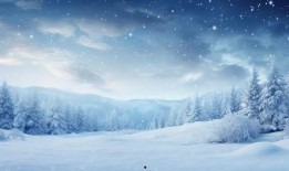 最新爆料六图雪地图片下载,冬日雪地美景，带你领略纯净自然之美”